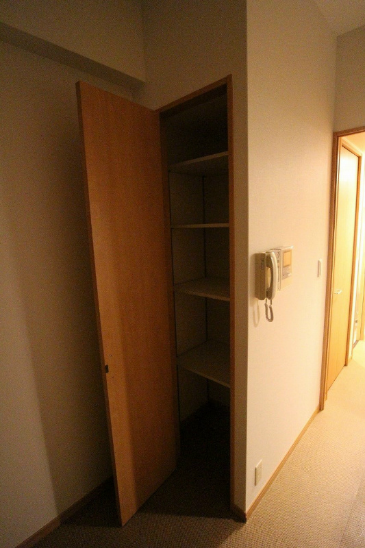 リード大手町 収納