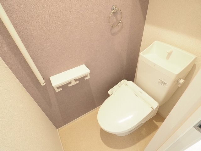 コスモス　A  その他1