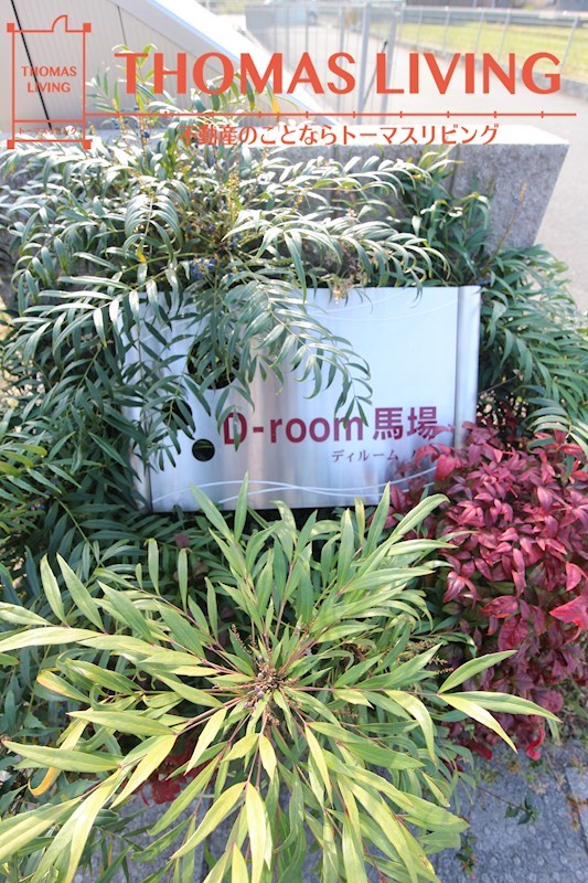 D-room馬場 その他外観1