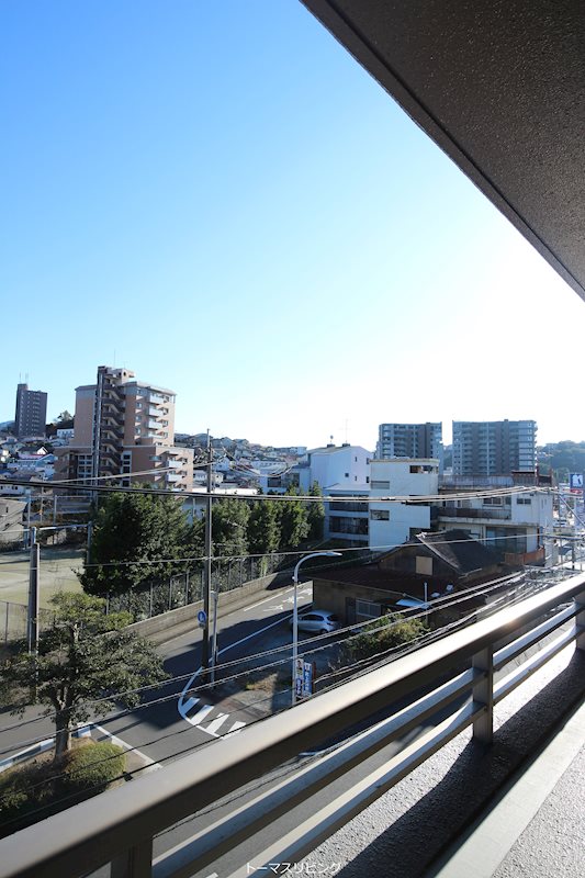フリーリー守恒  その他6