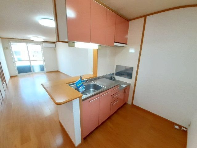 クリスマスローズⅢ キッチン