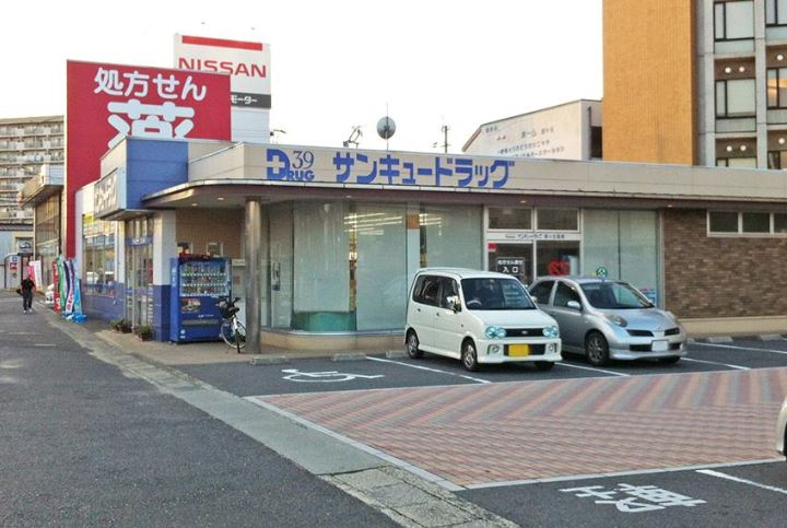 クリスマスローズⅢ ドラッグストア