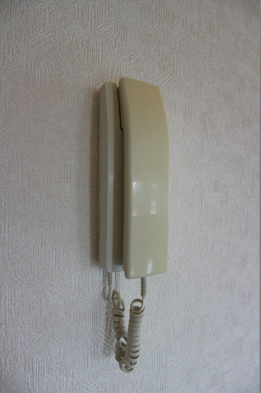 メゾンドプラムⅡ  セキュリティ