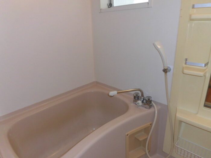 グランディール行橋　D棟 風呂画像