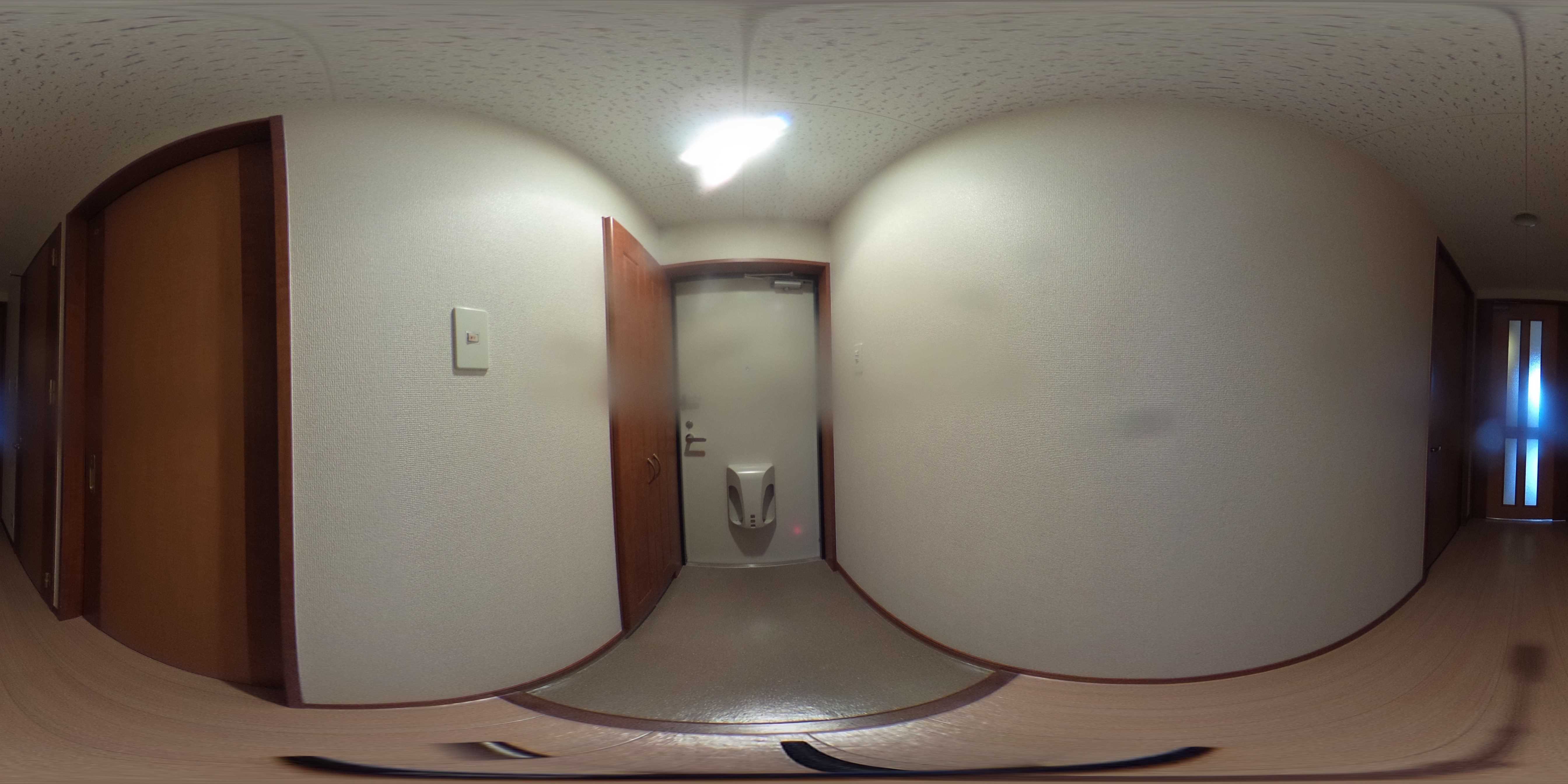 ハイネス若園 玄関