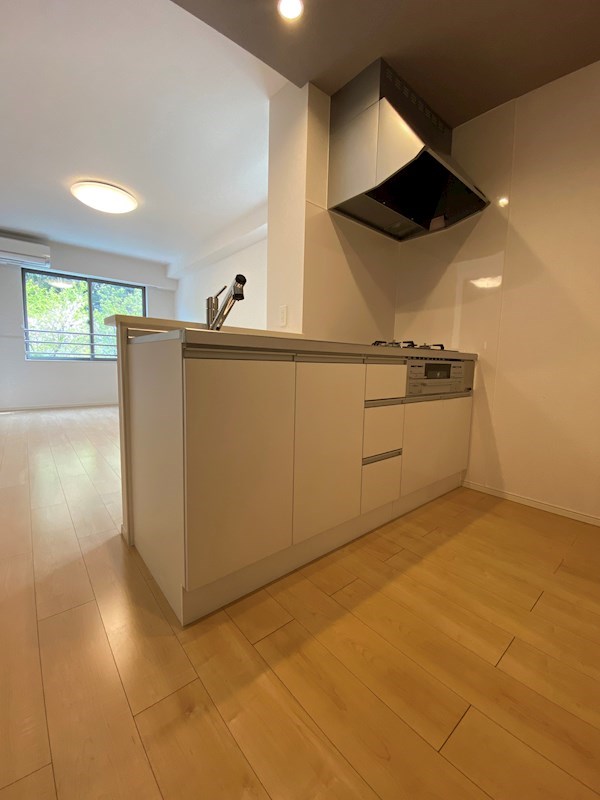 ヴィラルーチェ 　A棟 キッチン