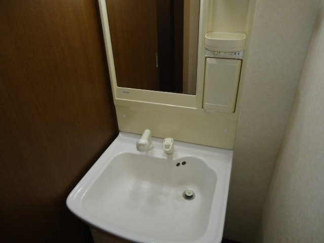 ビッグフォレスト壱番館  洗面所