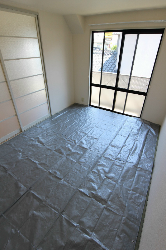 コスモス20 その他