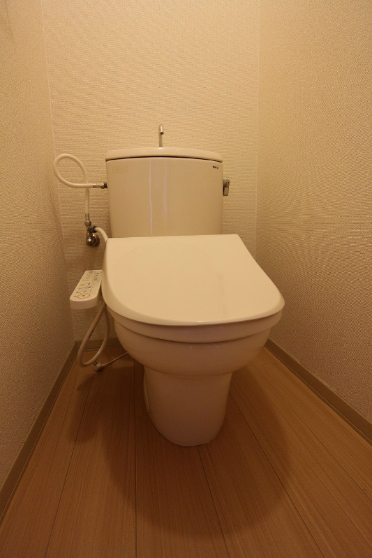 コスモス20 その他