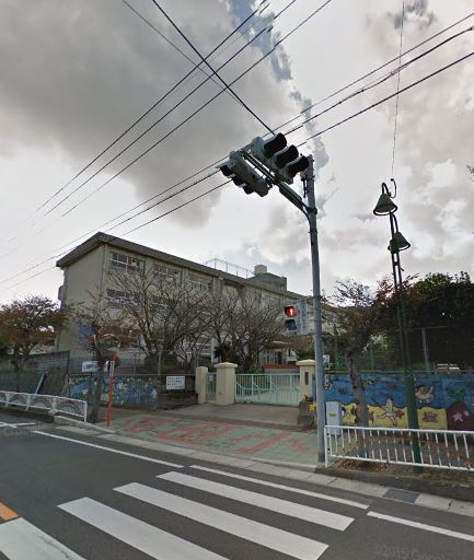 コスモス20 小学校