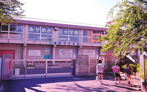 ベルフルール 小学校