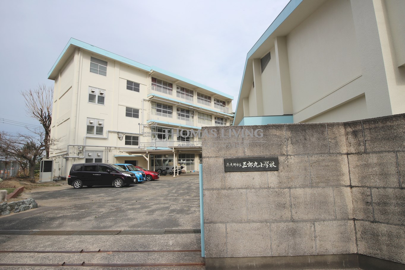 メディプラカーサ  小学校