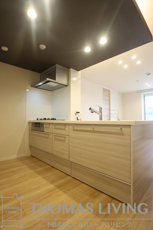 Heritage NAKAI Manoir  キッチン
