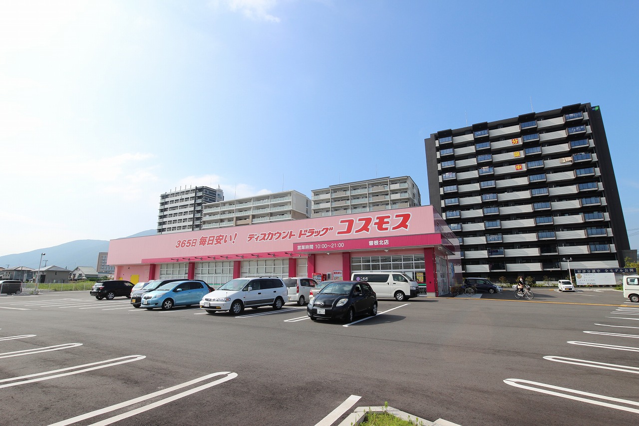 ニューガイア下曽根  ドラッグストア