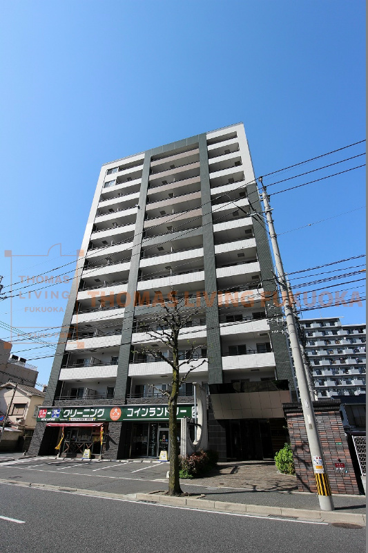 シグナス 外観