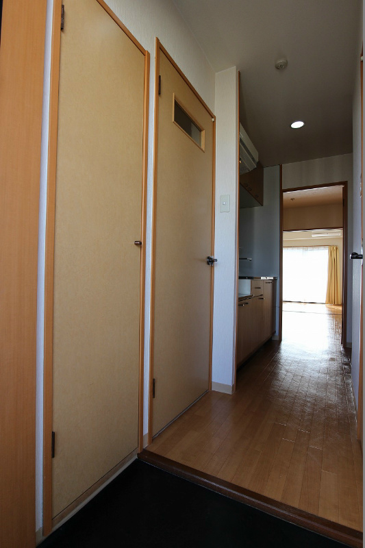 アヴィニールNo.5 その他