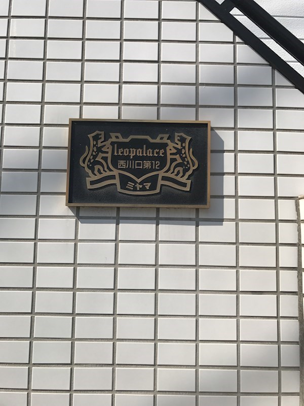 ファイロリコート その他外観2