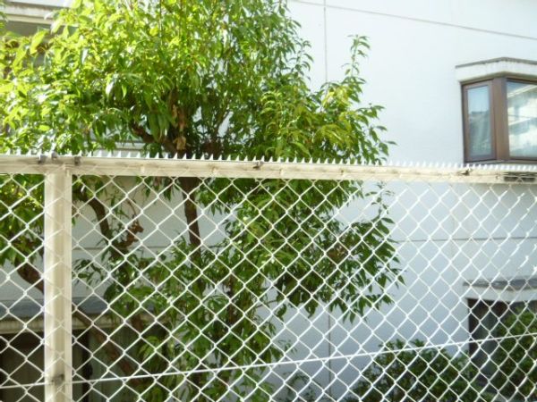 ハイツホシガキ 眺望