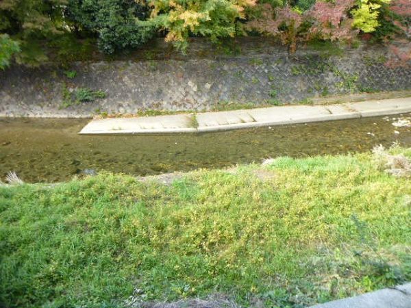 コージィコート瀬川Ⅱ 眺望