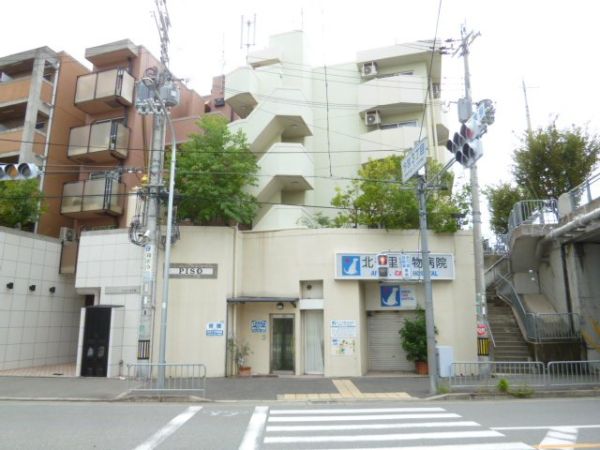 PISO その他