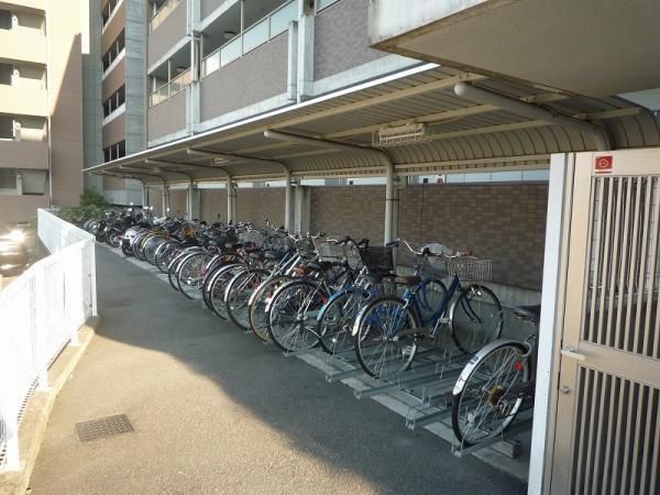 シプレス その他