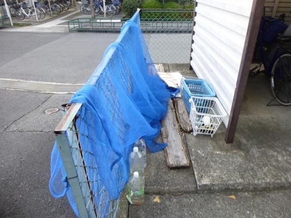 箕面メイプル その他