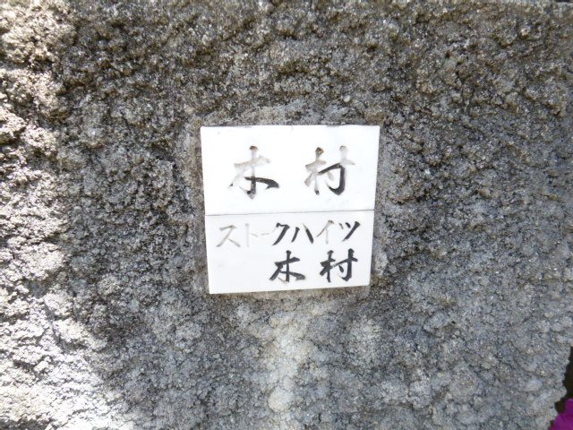 大阪府箕面市箕面２丁目 その他