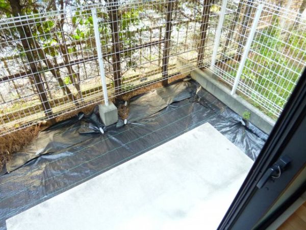 大阪府箕面市如意谷２丁目 ベランダ