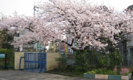 アメニティーα館 小学校