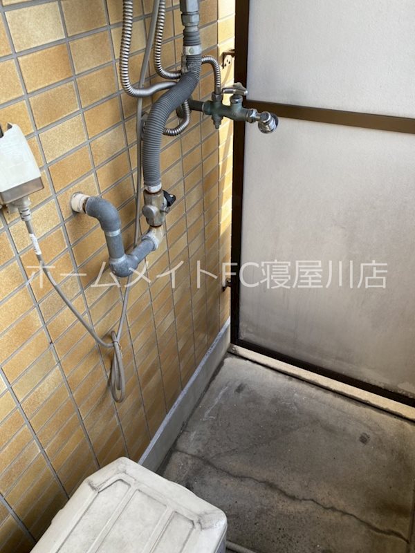 カサベルデー柳 その他