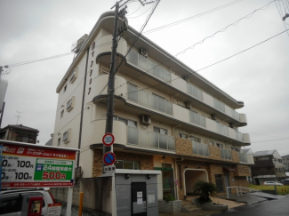 メリッサ錦 外観