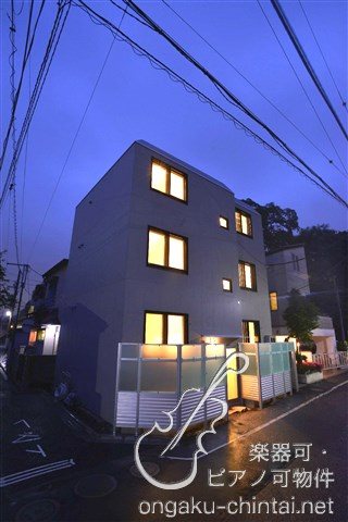 ラシクラスカリビアンⅢ 24時間演奏可 その他