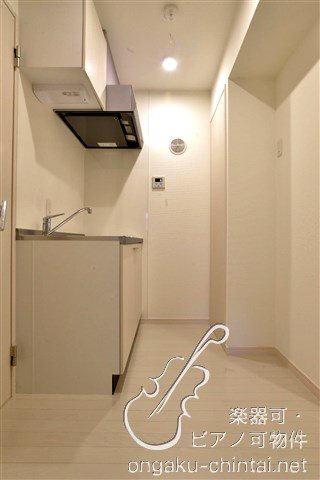 ラシクラスカリビアンⅢ 24時間演奏可 リビング