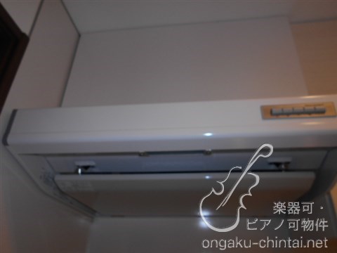 サクラグラース 8:00～23:00演奏可　グランドピアノ・弦楽器・木管楽器演奏可能。洗足学園・昭和音大 その他
