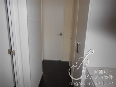 アルティスタ 　24時間演奏可 その他