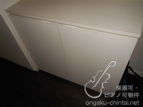 アルティスタ 　24時間演奏可 その他