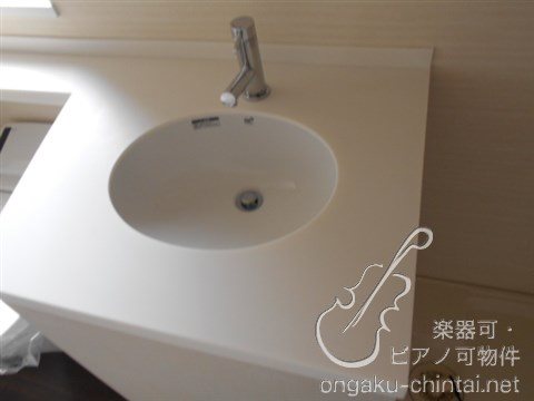 アルティスタ 　24時間演奏可 その他