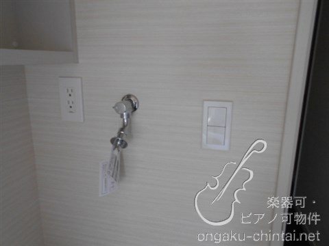 アルティスタ 　24時間演奏可 その他