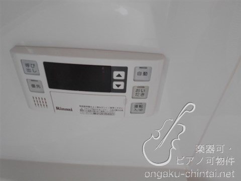 アルティスタ 　24時間演奏可 その他