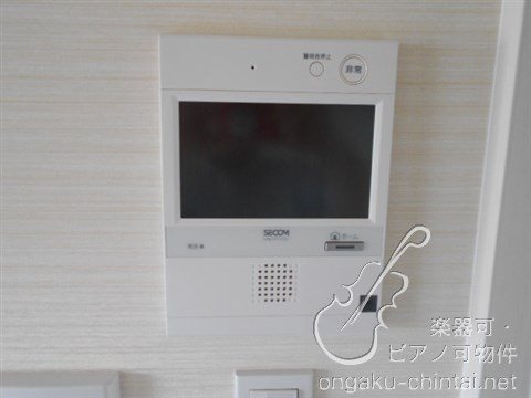 アルティスタ 　24時間演奏可 その他
