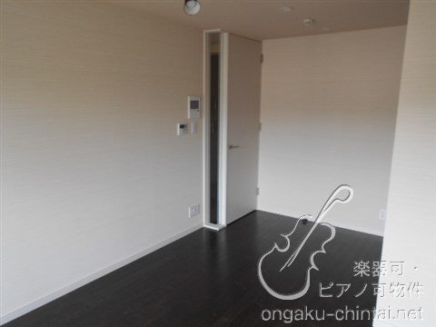 アルティスタ 　24時間演奏可 その他