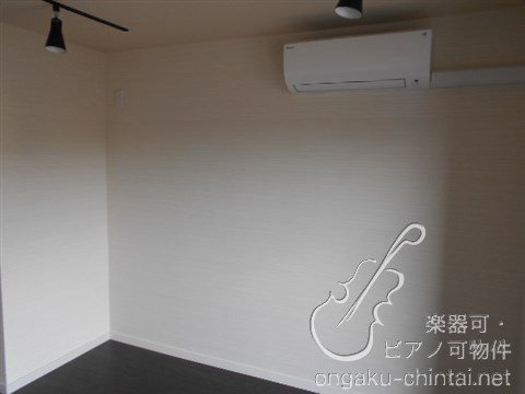 アルティスタ 　24時間演奏可 その他