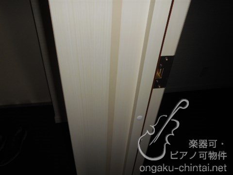 アルティスタ 　24時間演奏可 その他