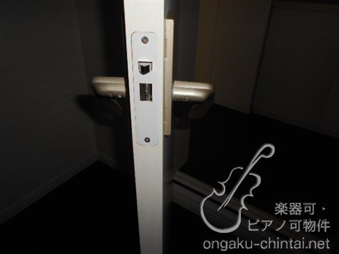 アルティスタ 　24時間演奏可 その他