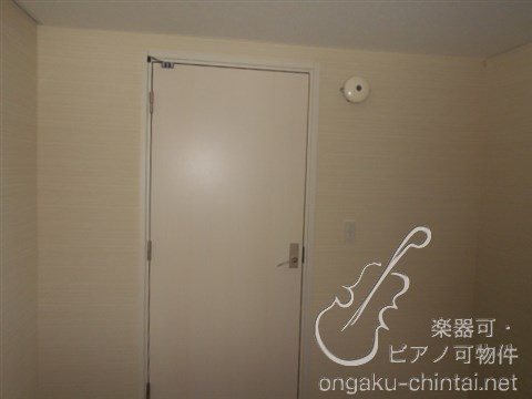 アルティスタ 　24時間演奏可 その他