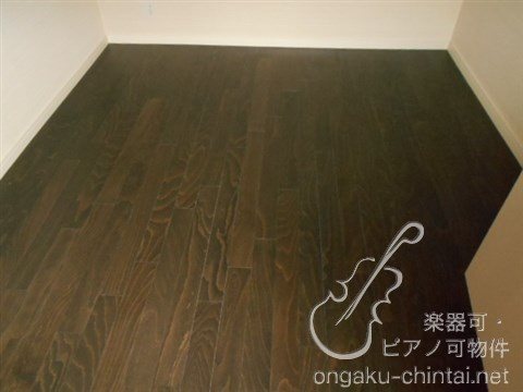 アルティスタ 　24時間演奏可 その他