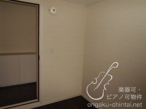 アルティスタ 　24時間演奏可 その他