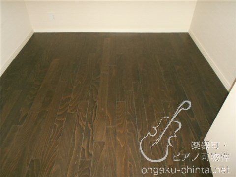 アルティスタ 　24時間演奏可 その他