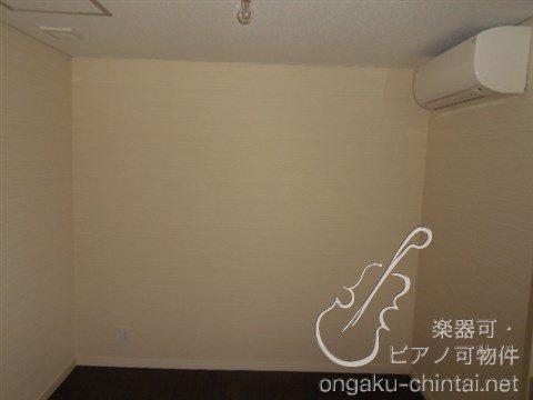 アルティスタ 　24時間演奏可 その他