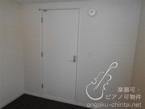 アルティスタ 　24時間演奏可 その他